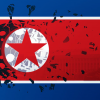 The Coronavirus and its Likely Impact on North Korea