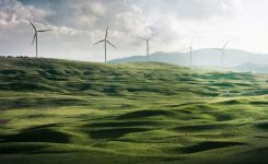 wind-farm-renewables.jpg