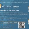 Security Nexus - Gray Zone