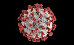 COVID-19 (Coronavirus) image