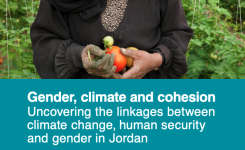 gender-climate-jordan-cover.png